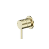 Brushed Gold