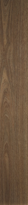 Spotted Gum