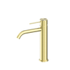 Brushed Gold