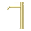 Brushed Gold