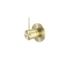 Brushed Gold