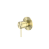 Brushed Gold
