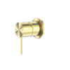Brushed Gold