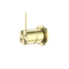 Brushed Gold