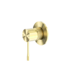 Brushed Gold