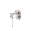 Brushed Nickel