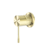 Brushed Gold