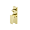 Brushed Gold