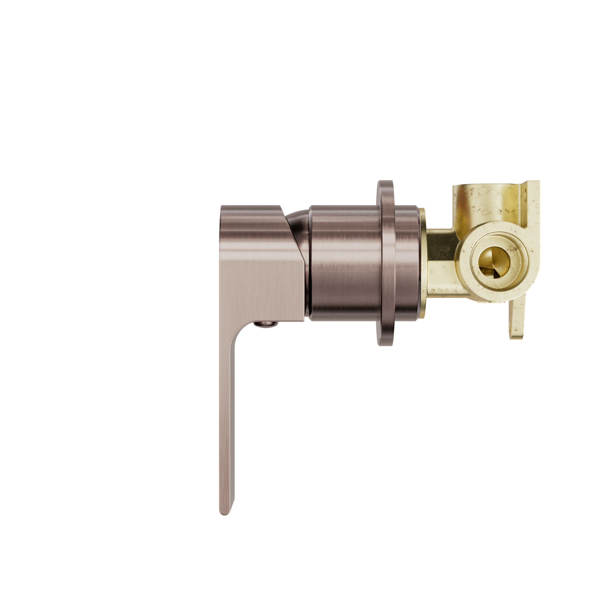 Bianca Shower Mixer 60mm Plate