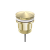 Brushed Gold